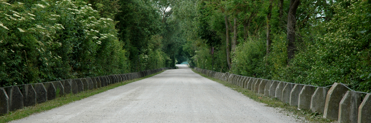 © Gemeinde Pliening – Sommer Impressionen 01